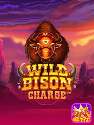 Transparência total nas ofertas e bônus